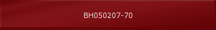 BH050207-70