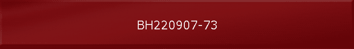 BH220907-73