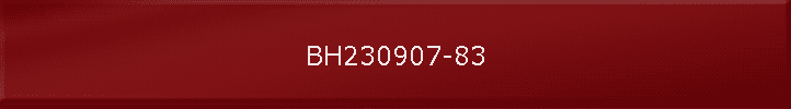 BH230907-83