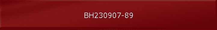 BH230907-89