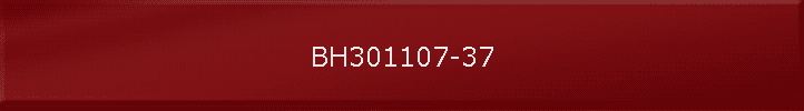 BH301107-37