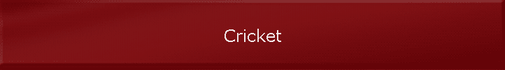 Cricket