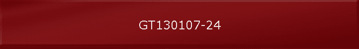GT130107-24