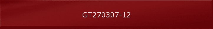 GT270307-12