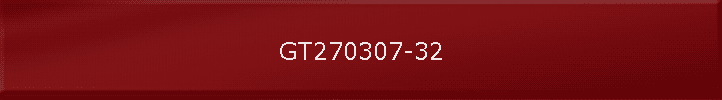 GT270307-32