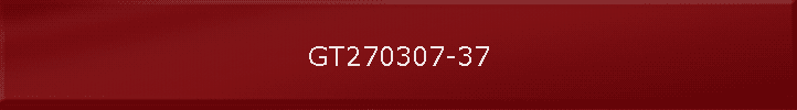 GT270307-37