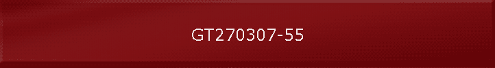GT270307-55