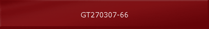 GT270307-66
