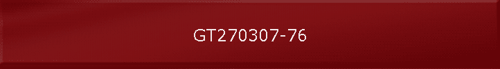 GT270307-76