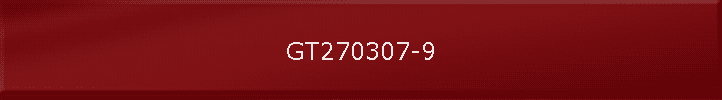 GT270307-9