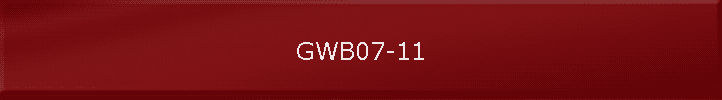 GWB07-11