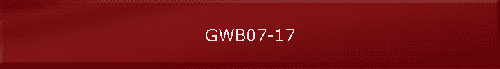 GWB07-17