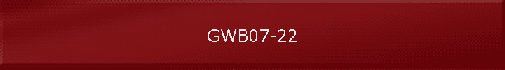 GWB07-22