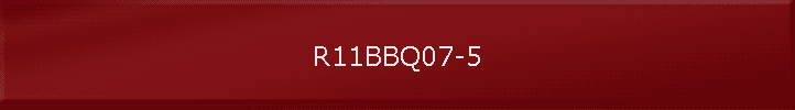 R11BBQ07-5