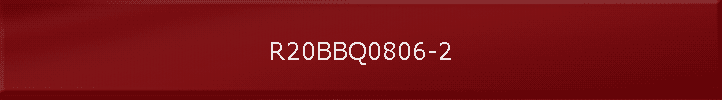 R20BBQ0806-2