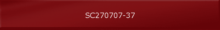 SC270707-37