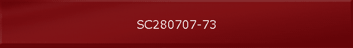 SC280707-73
