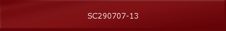 SC290707-13