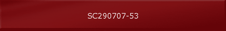 SC290707-53