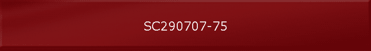SC290707-75