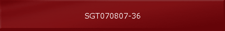 SGT070807-36